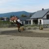 Babie Lato 2016